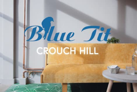 hairdressers in crouch hill - blue tit logo