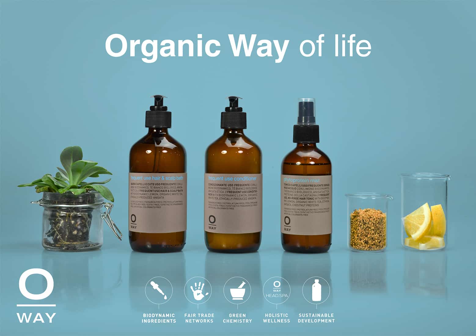 Shop Oway products