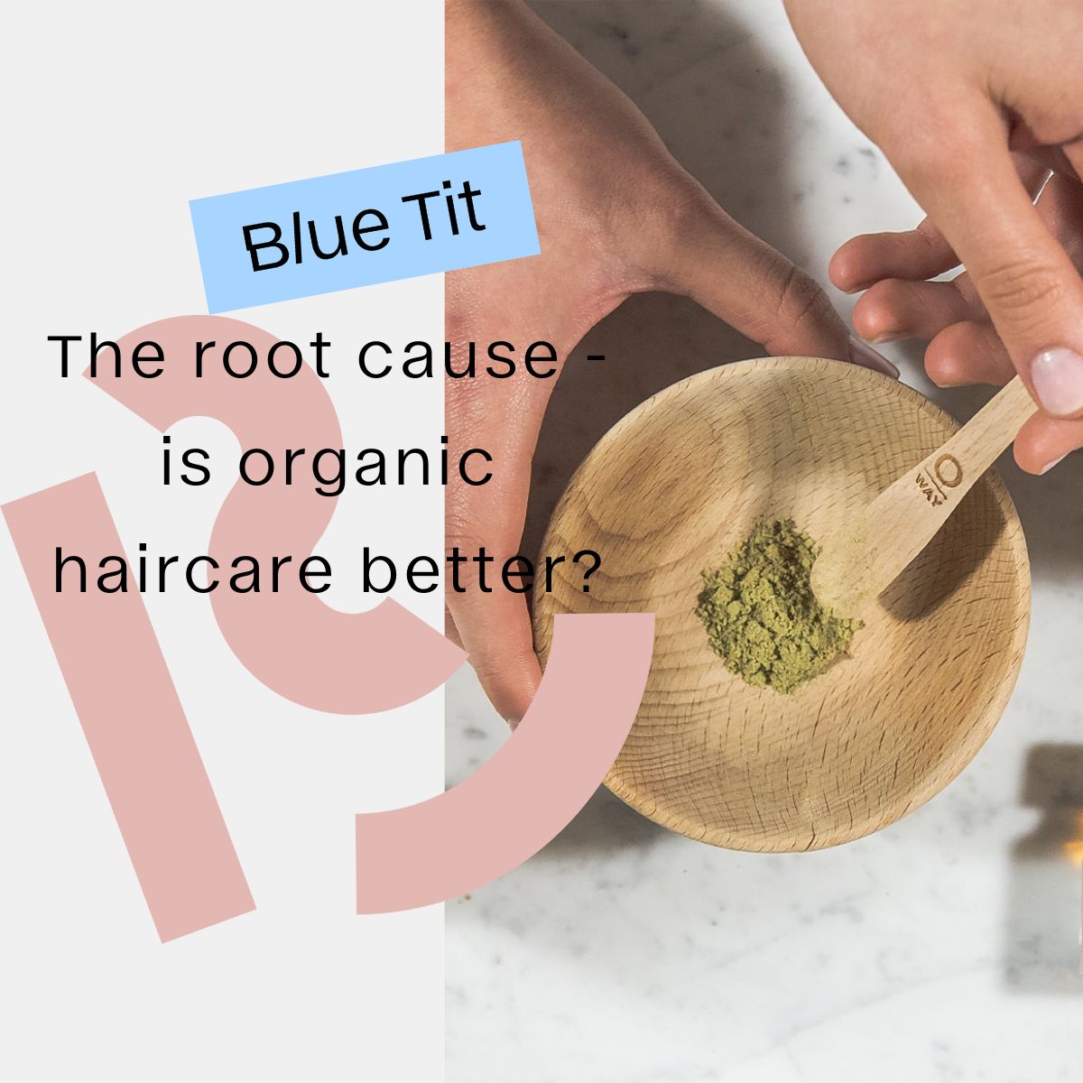 Blue Tit Blog Organic Haircare